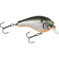 バグリー　バルサb セット　美品　ほぼ未使用 バグリー バルサb セット 美品 ほぼ未使用 2025年最新】バグリー